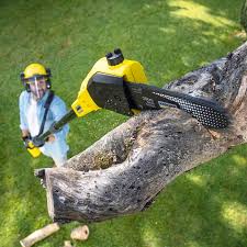 Best Leaf Removal  in South Hill, NY